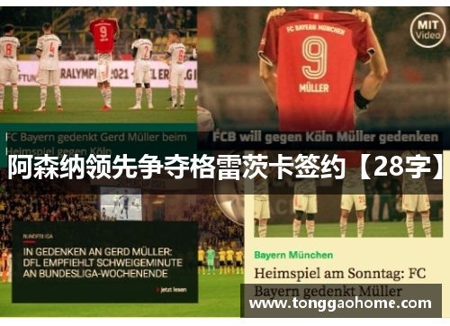 阿森纳领先争夺格雷茨卡签约【28字】